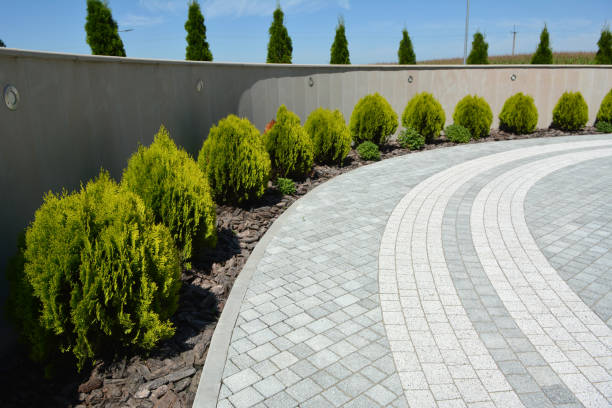 Best Affordable Driveway Paving  in Lamont, MI